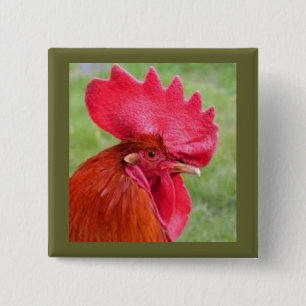 Roter Hahn Coutry lebender Knopf Button