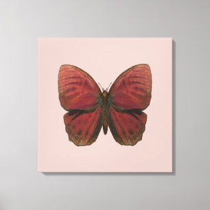 Roter Hahn Schmetterling Leinwanddruck