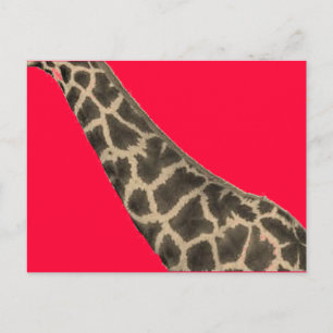 roter Hals Postkarte