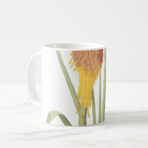 Roter heißer Poker (Tritoma uvaria) von Redouté Kaffeetasse