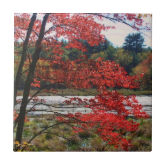 Roter Herbst Blätter Teich Natur Kunst Fliese (Vorderseite)
