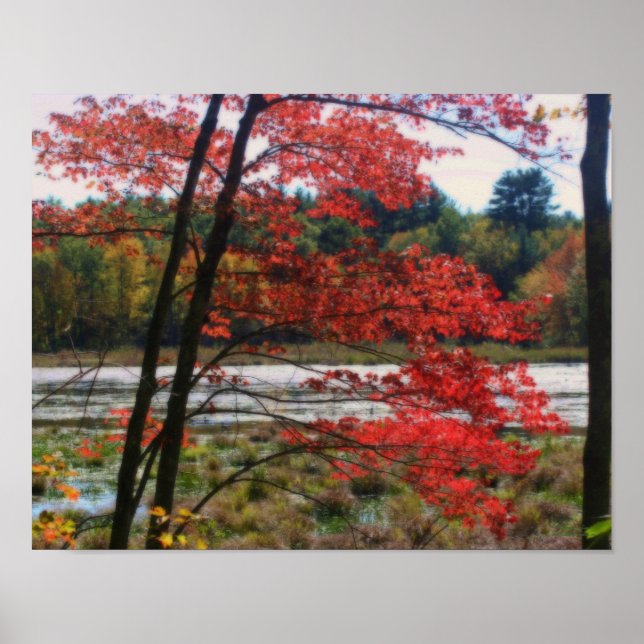 Roter Herbst-Foliage-Marsh-Orton-Effekt Poster (Vorne)