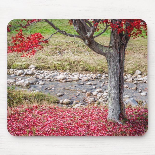 Roter Herbstbaum Mousepad (Vorne)