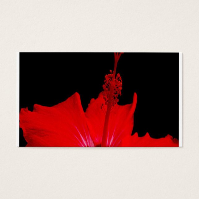 Roter Hibiskus (Vorderseite)