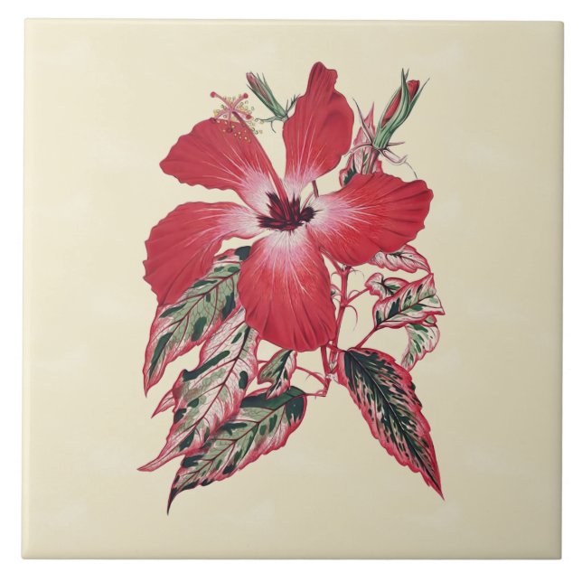 Roter Hibiskus auf tropischer Sahnefliese 6x6 Fliese (Vorderseite)
