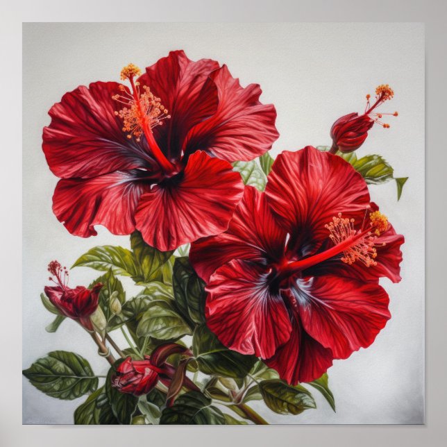 Roter Hibiskus Blume Art Print Poster (Vorne)