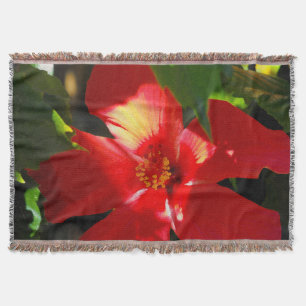 Roter Hibiskus Blume bei Sonnenlicht Decke