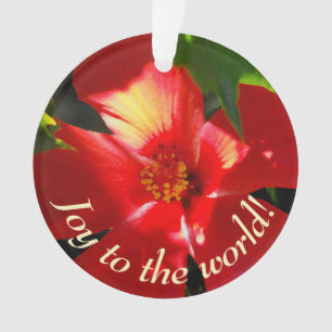 Roter Hibiskus Blume bei Sonnenlicht Ornament