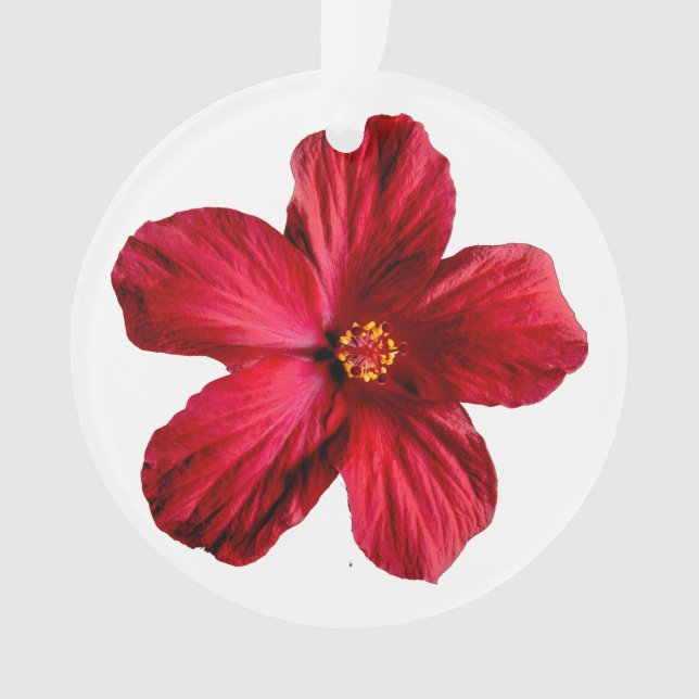 Roter Hibiskus Blume Circle Acrylic Ornament (Vorderseite)