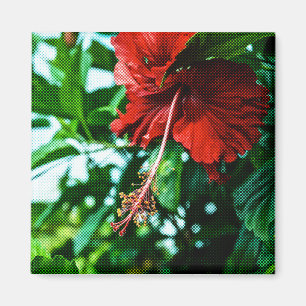 Roter Hibiskus Blume Magnet