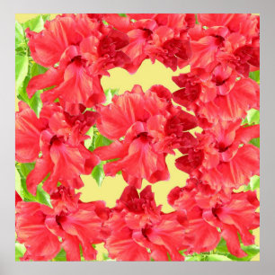Roter Hibiskus Blume Poster Drucken
