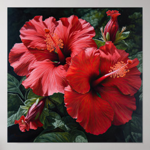 Roter Hibiskus-Blumen-Kunstposter Poster