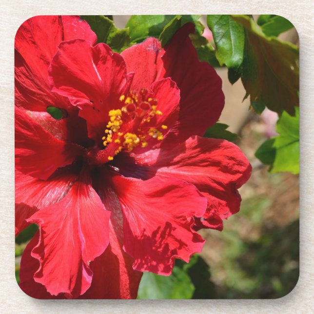 Roter Hibiskus Cork Untersetzer (Vorderseite)