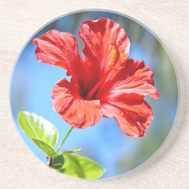 Roter Hibiskus Getränkeuntersetzer (Vorne)