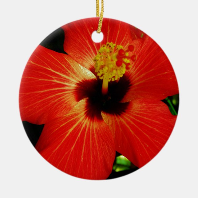 Roter Hibiskus Keramik Ornament (Vorne)