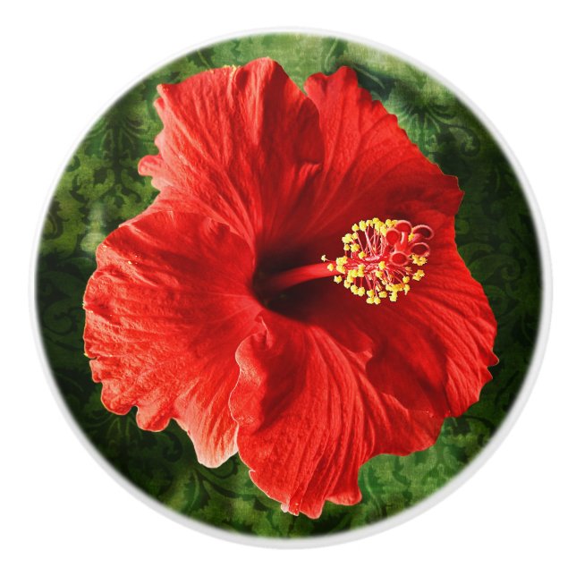 Roter Hibiskus Keramikknauf (Vorderseite)