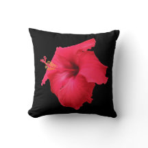 Roter Hibiskus