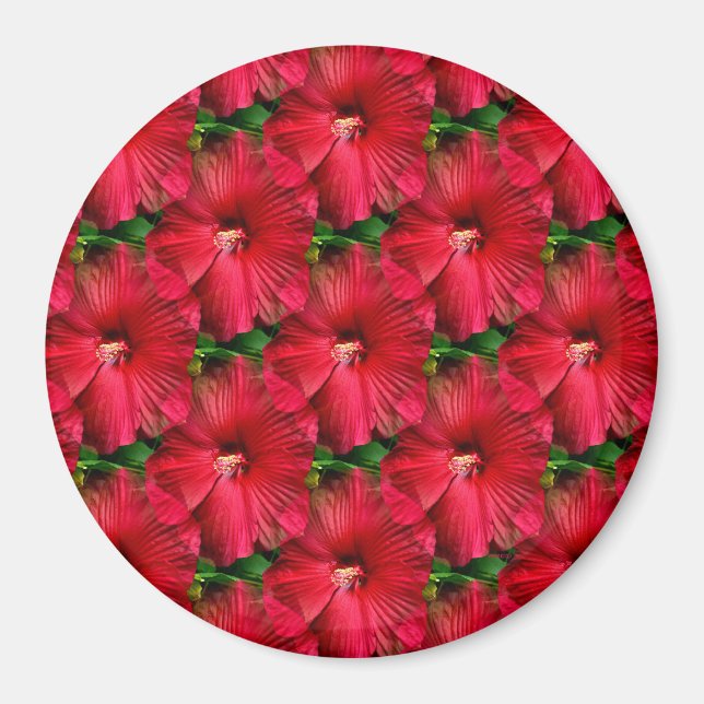 Roter Hibiskus......... Magnet (Vorne)