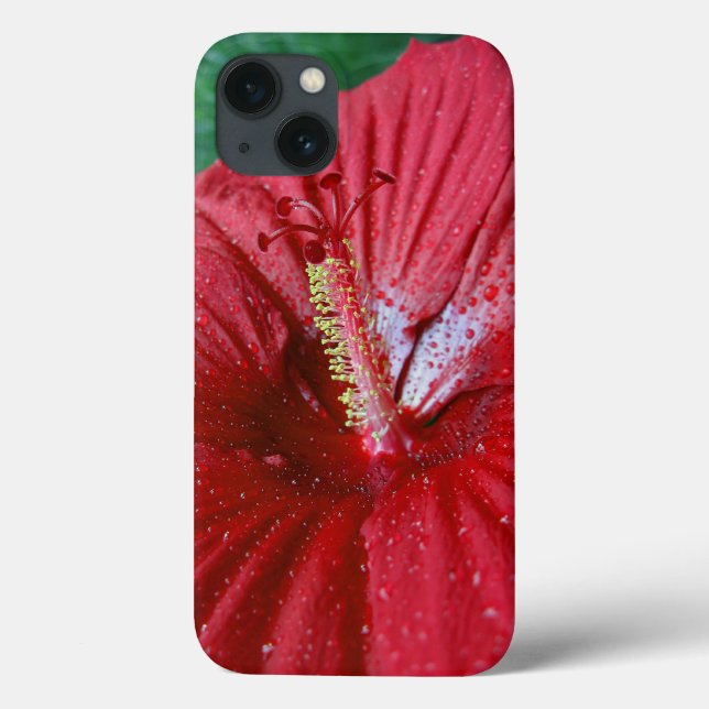 Roter Hibiskus mit Regentropfen Case-Mate iPhone Hülle (Rückseite)