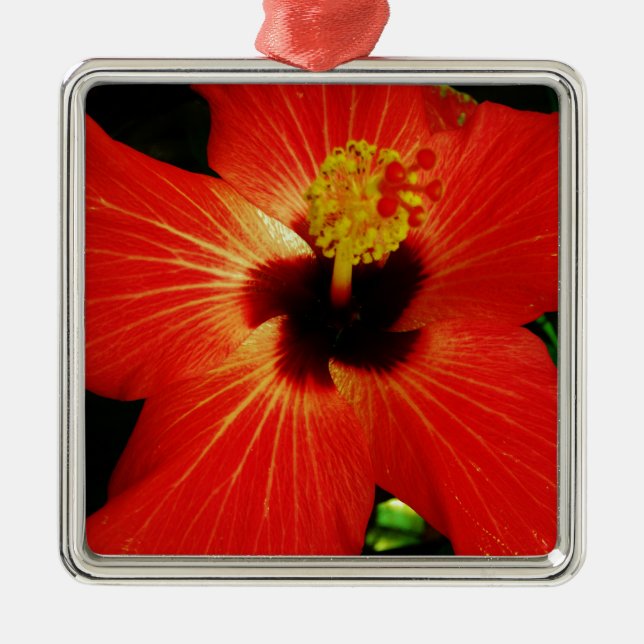 Roter Hibiskus Ornament Aus Metall (Vorne)