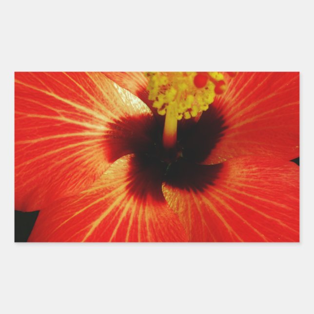 Roter Hibiskus Rechteckiger Aufkleber (Vorderseite)