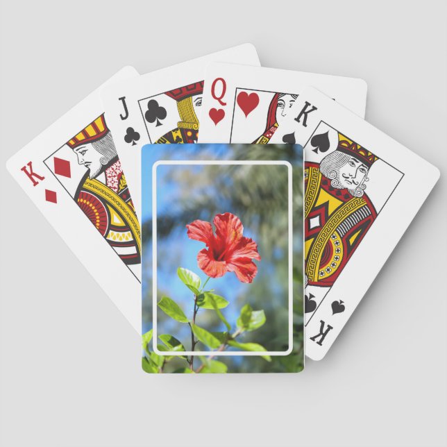 Roter Hibiskus Spielkarten (Rückseite)