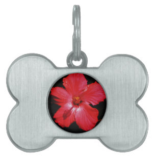 Roter Hibiskus Tiermarke