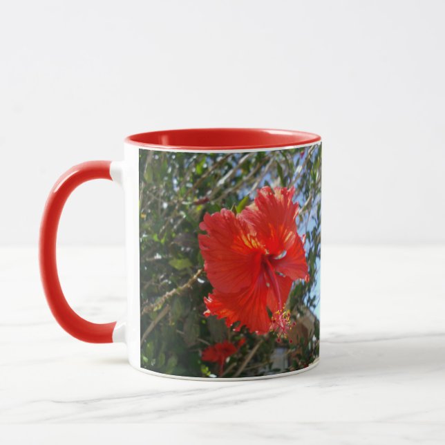 Roter Hibiskusbaum, Tasse (Links)
