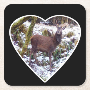 Roter Hirsch im Schnee Papier Untersetzer