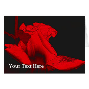 Roter Hot Rosenknospe Floral Art Foto-Karte