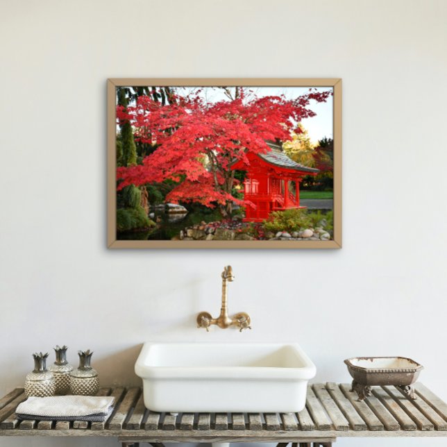 Roter Japanischer Ahorn und Gartenschrein Fotodruck (In Situ Framed)