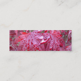 Roter japanischer Ahorn verlässt Mini Visitenkarte