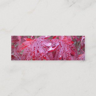 Roter japanischer Ahorn verlässt Mini Visitenkarte