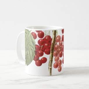 Roter Johannisbeere (Ribes rubrum) von Redouté Kaffeetasse