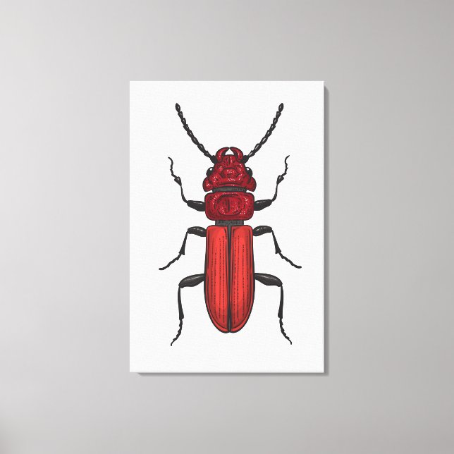 Roter Käfer Leinwanddruck (Vorderseite)
