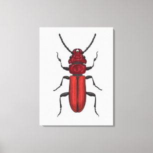 Roter Käfer Leinwanddruck