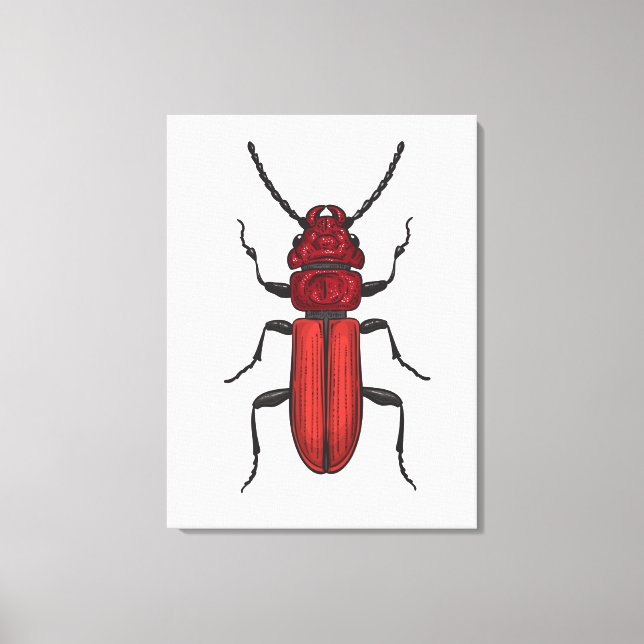Roter Käfer Leinwanddruck (Vorderseite)