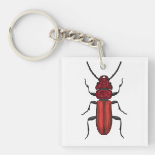 Roter Käfer Schlüsselanhänger