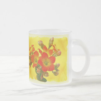 Roter Kalanchoe - Sukkulenter Sonnenschein Mattglastasse