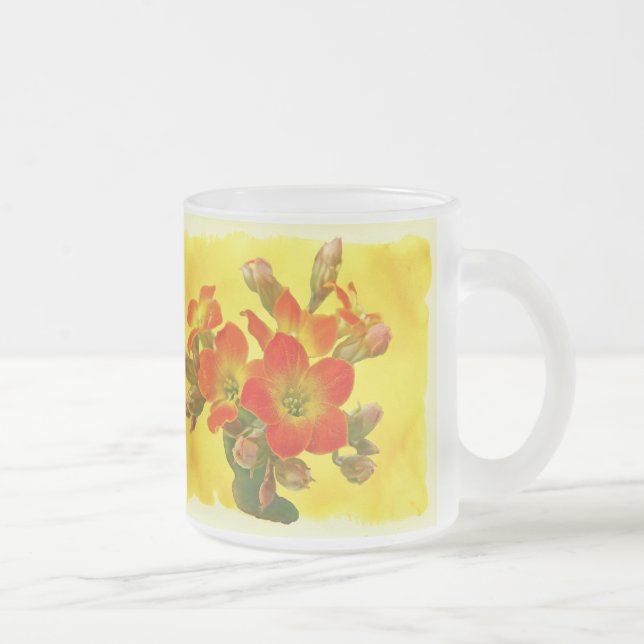 Roter Kalanchoe - Sukkulenter Sonnenschein Mattglastasse (Rechts)