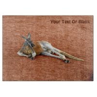 Roter Kangaroo Buck