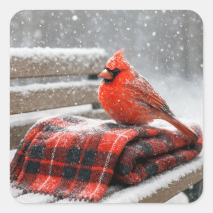 Roter Kardinal an Weihnachten auf einer schneebede Quadratischer Aufkleber