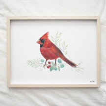 Roter Kardinal Aquarell Kunst drucken