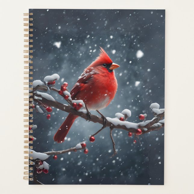 Roter Kardinal auf Baumzweig im Schnee Planer (Vorderseite)
