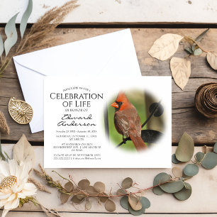 Roter Kardinal   Beerdigung   Feier des Lebens Einladung