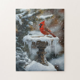 Roter Kardinal Bird auf einem gefrorenen Birdbad A