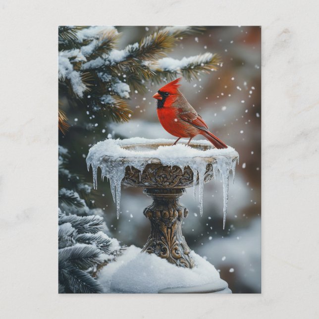 Roter Kardinal Bird auf einem gefrorenen Birdbad A Postkarte (Vorderseite)