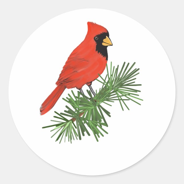 Roter Kardinal Bird auf Pine Tree Runder Aufkleber (Vorderseite)