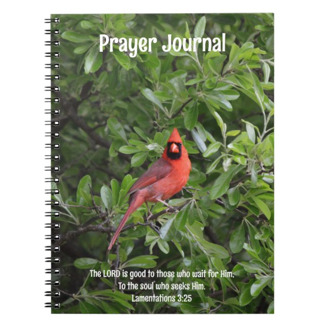 Roter Kardinal Bird Bible Verse Gebet Journal Notizblock (Vorderseite)