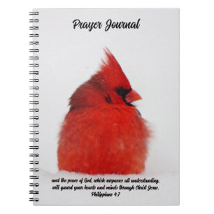 Roter Kardinal Bird Peace in Snow Prayer Journal Notizblock